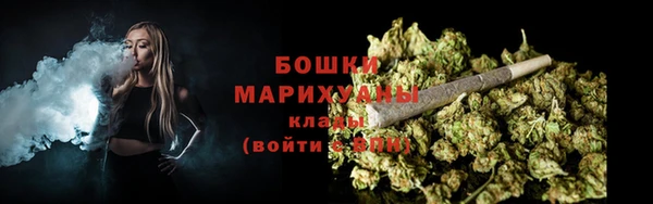 ECSTASY Богородицк